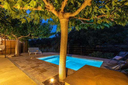 a swimming pool with a tree in the middle at Majordoms - Cal Sabater in Las Escaulas