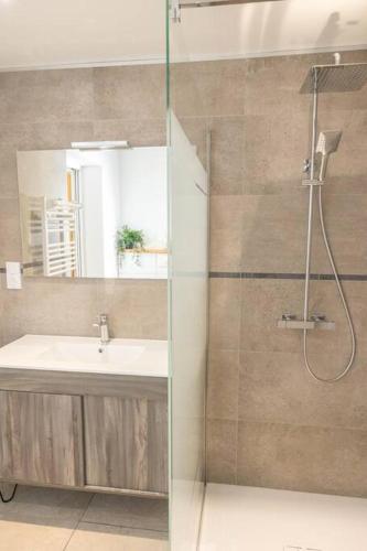 une salle de bain avec un lavabo et une douche dans l'établissement Le refuge des Gouttridos, imprenable vue lac 4-5p, à Gérardmer