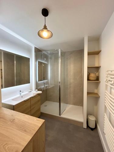une salle de bain avec douche et lavabo dans l'établissement Appartement place de la république - Lille, à Lille