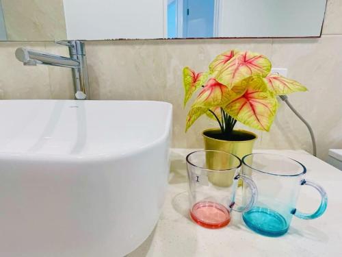 a potted plant sitting on a bathroom counter with two glasses at Modern Private Room 1,2 close to QEII & Grifith Uni in Brisbane
