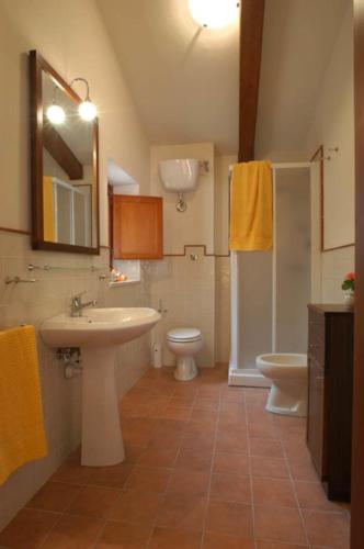 a bathroom with a sink and a toilet and a mirror at Comiti Farmhouse Apt Bondone in Montaione