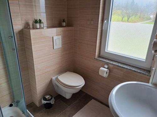 uma pequena casa de banho com WC e lavatório em Vineyard Cottage Vidrih em Dolenjske Toplice