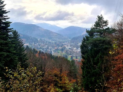 Blick auf eine Stadt in den Bergen in der Unterkunft Schöne Ferienwohnung im Schwarzwald in Bad Herrenalb