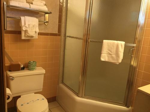 a bathroom with a shower and a toilet at FairBridge Inn Express in Milford