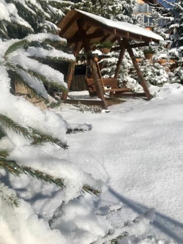 Το Cottage PolyaNitsa окремий котедж з каміном τον χειμώνα