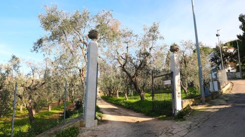 Gallery image of I Frangiventi in Rodi Garganico