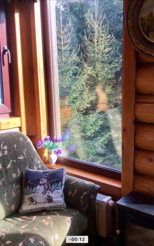 Χώρος καθιστικού στο Cottage PolyaNitsa окремий котедж з каміном