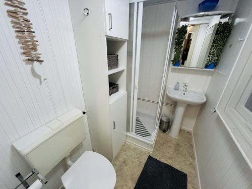 La petite salle de bains est pourvue de toilettes et d'un lavabo. dans l'établissement RBR 711 - Beach Resort Kamperland, à Kamperland