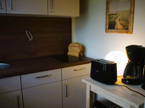 eine Küche mit einer Theke und einem Mixer auf dem Tisch in der Unterkunft Bungalow Oase der Ruhe in Lobbe