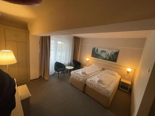 um quarto de hotel com uma cama e uma mesa em Bacolux Santis, Covasna em Covasna