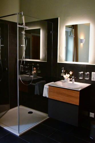 a bathroom with a shower and a sink at Domizil Eutschützblick in Bannewitz