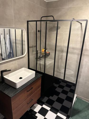 uma casa de banho com um lavatório branco e um chuveiro em Chez doudou em Bruxelas