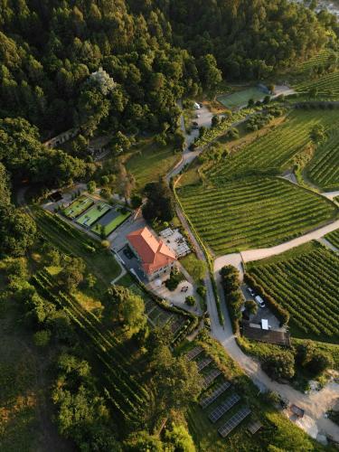 an aerial view of a vineyard with a house and trees at Quinta das Piramides in Vila Nova de Famalicão