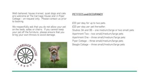 Studio 3B The Carriage House York 6m Village Location photo 17