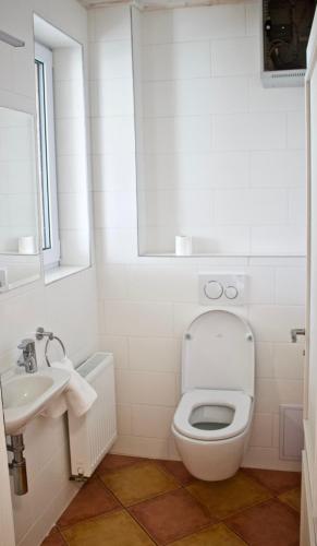 Svaty Prokop Luxury Apartment Boží Darにあるバスルーム