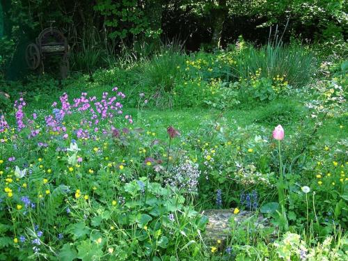 a garden filled with lots of different types of flowers at Homer Old Spot in Marytavy