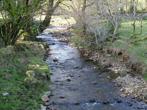 a stream of water in the middle of a field at Homer Old Spot in Marytavy