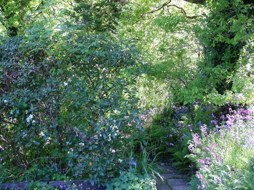 a garden with purple and white flowers and trees at Homer Old Spot in Marytavy