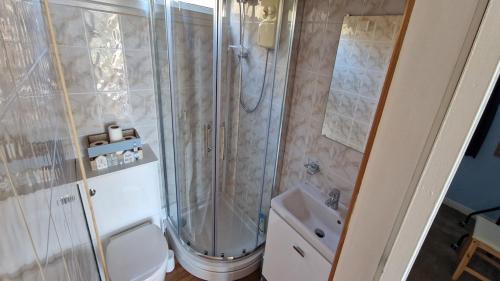 a bathroom with a shower and a toilet and a sink at The Lookout - Chalet 32 in Carmarthen