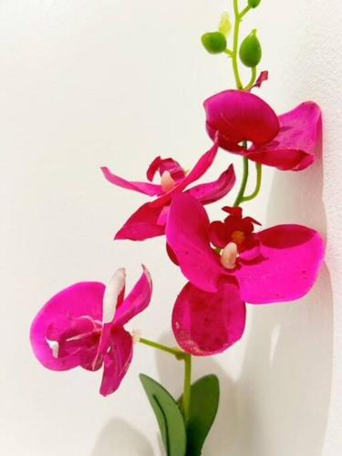 a group of pink flowers in a vase at Tranquil Retreat in Secure Estate, 2 Bedrooms in Umhlanga