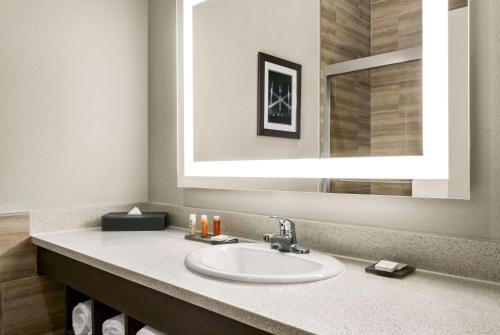 a bathroom with a sink and a mirror at La Quinta by Wyndham Brownsville North in Brownsville