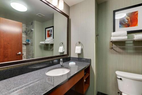 チャンドラーにあるDrury Inn & Suites Phoenix Chandler Fashion Centerのバスルーム(洗面台、鏡付)