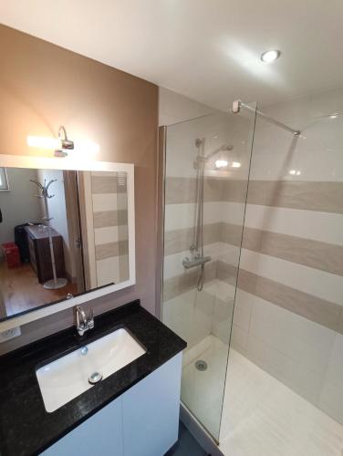 une salle de bain avec un lavabo et une douche en verre dans l'établissement T2 Centre historique Avignon, à Avignon