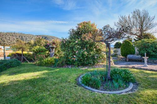 a garden with a tree in the grass at Wintersun Gardens Motel in Bicheno