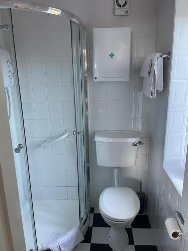 a small bathroom with a toilet and a shower at Lakeland Midsummer Lakehouse in Oughterard