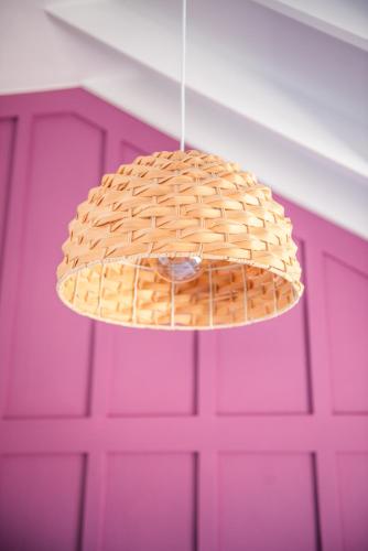 Φωτογραφία από το άλμπουμ του The Fuchsia Collection σε Somerset West