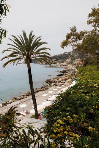 a beach with a bunch of umbrellas and a palm tree at Grand Hotel Del Mare Resort & Spa in Bordighera