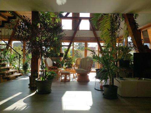 une pièce remplie de nombreuses plantes en pot dans l'établissement Grange du petit bonhomme, à Hésingue