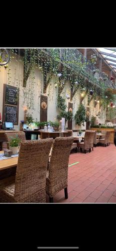 a restaurant with tables and chairs and plants on the wall at Pensiunea Gasthaus Alte Post in Sighişoara