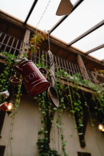 a watering can hanging from the ceiling of a greenhouse at Pensiunea Gasthaus Alte Post in Sighişoara
