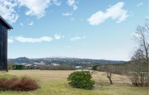 a view of a field with a mountain in the distance at Stunning Apartment In Eidsvåg I Romsdal in Toven