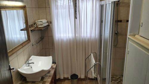 a bathroom with a sink and a shower at Anri Guesthouse in Bloemfontein