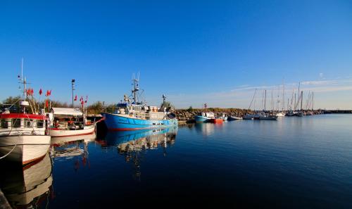 a group of boats are docked in a harbor at Morada Hotel Arendsee in Kühlungsborn