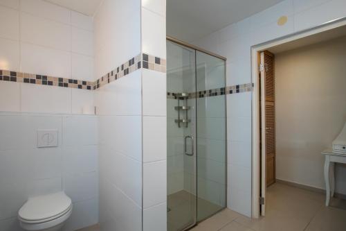 a bathroom with a shower and a toilet at Tropical villa Curoyal near the beach in Jan Thiel