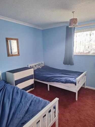 a bedroom with two beds and a blue wall at great holidays hemsby in Hemsby