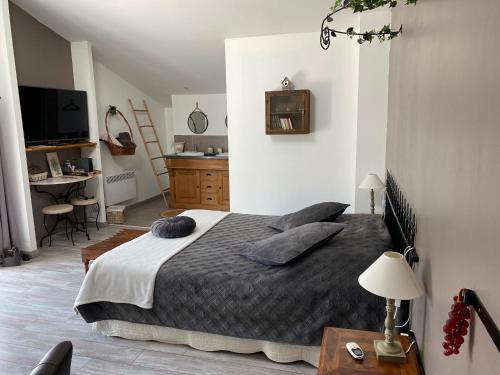 1 dormitorio con 1 cama grande y escritorio en Chambres d'hotes Béziers La Noria en Cazouls-lès-Béziers