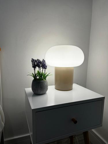 a table with a lamp and a plant on it at Rooms Near Me - Apartment 1 Sky Tv Fast Wifi in Quinton