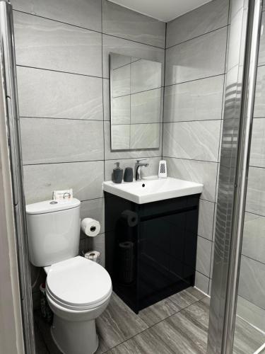 a bathroom with a toilet and a sink and a mirror at Rooms Near Me - Apartment 1, Sky Tv, Free Parking 