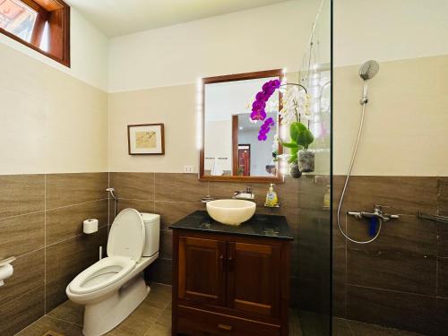 ein Bad mit einem WC, einem Waschbecken und einer Dusche in der Unterkunft Thuy House Hoi An in Hoi An