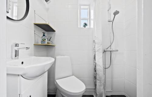 a white bathroom with a toilet and a sink at Beautiful Apartment In Aakirkeby With Wifi in Åkirkeby