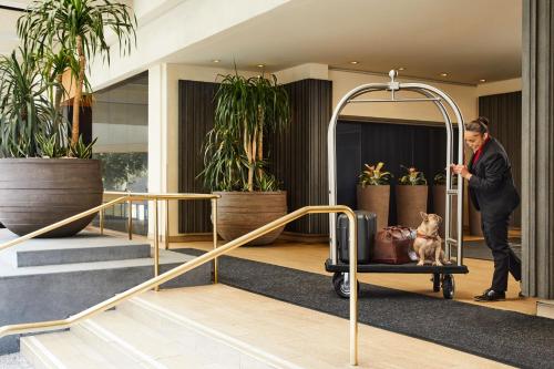 The Westin Bonaventure Hotel & Suites, Los Angeles photo 43
