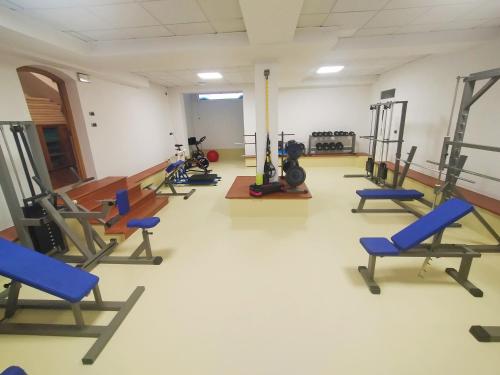 a gym with rows of treadmills and blue chairs at Sporthotel Villa Stella in Nago-Torbole
