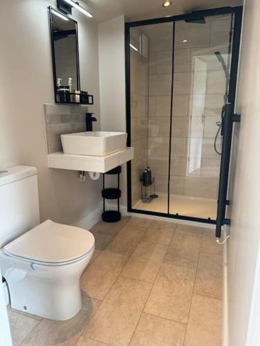 a bathroom with a toilet and a sink and a shower at The Pod @ Essex House in Bronington