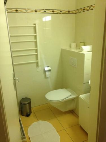 a small bathroom with a toilet and a sink at DOWN TOWN STUDIO in Lausanne