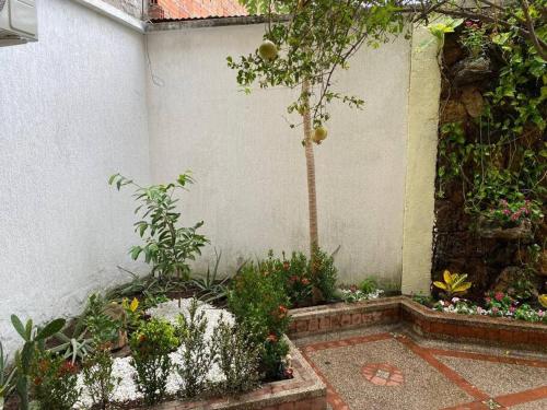 un jardín con un pequeño árbol y algunas plantas en apartment in neiva goliat, en Neiva