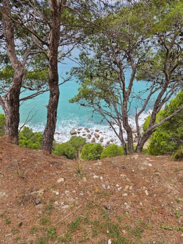 Galeriebild der Unterkunft Marinelle in Santa Maria di Castellabate